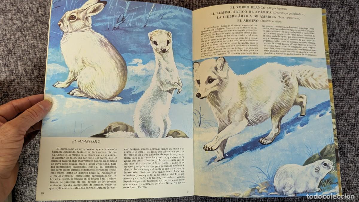 Libros de segunda mano: Fauna - Area 5 - 5 tomos - Timun Mas (1975) &iexcl;Colecci&oacute;n completa! - Foto 5