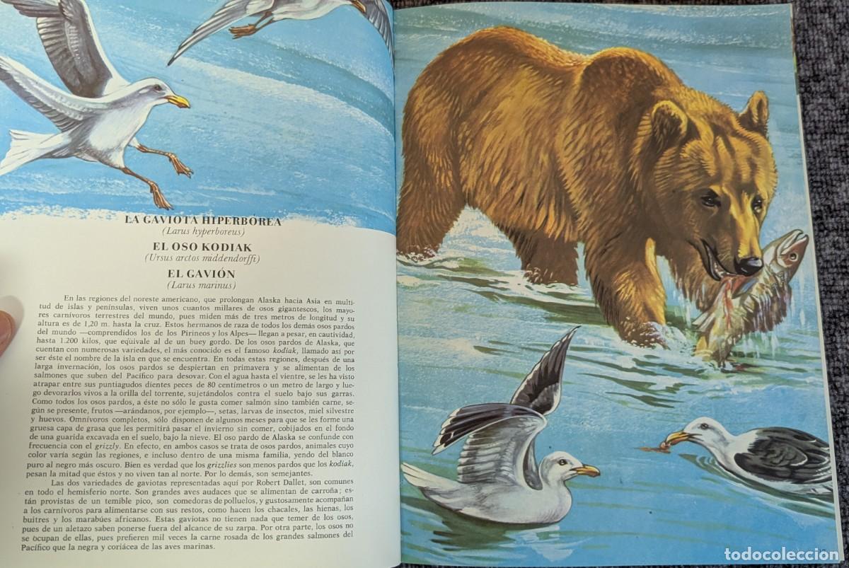 Libros de segunda mano: Fauna - Area 5 - 5 tomos - Timun Mas (1975) &iexcl;Colecci&oacute;n completa! - Foto 6