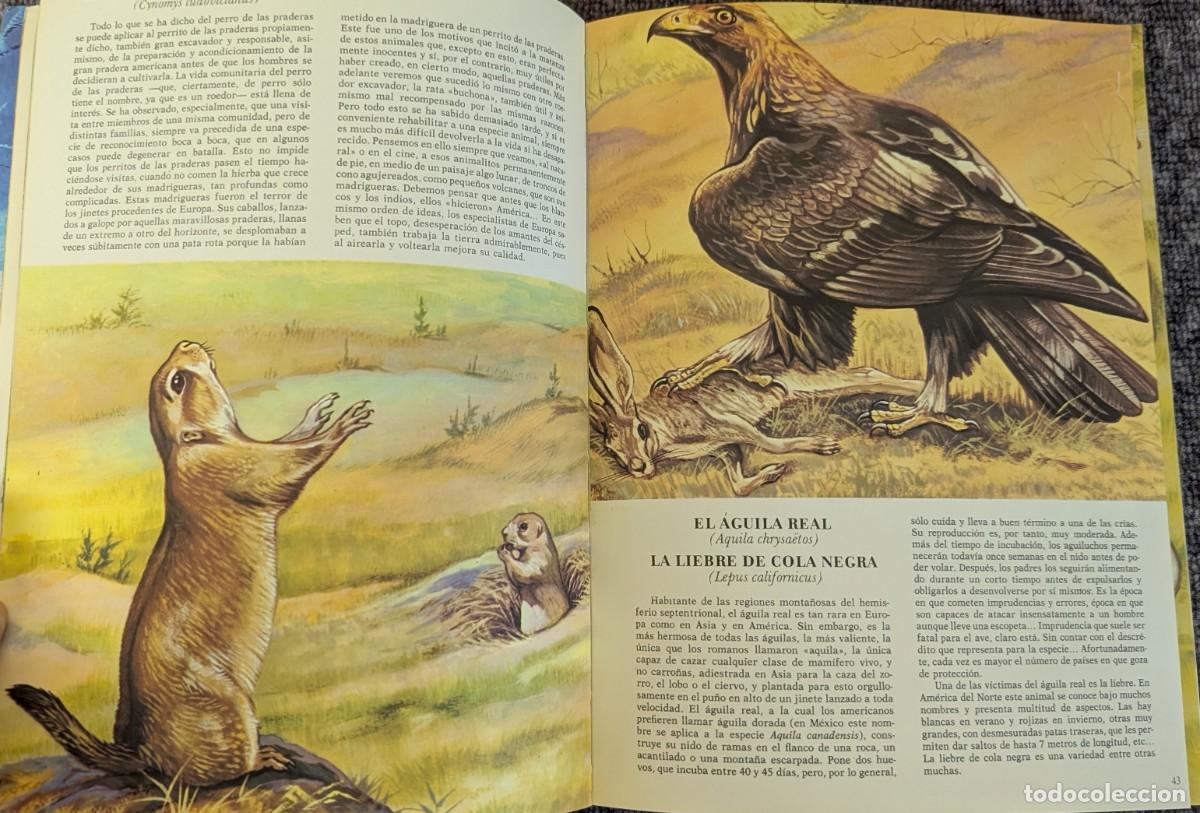 Libros de segunda mano: Fauna - Area 5 - 5 tomos - Timun Mas (1975) &iexcl;Colecci&oacute;n completa! - Foto 7