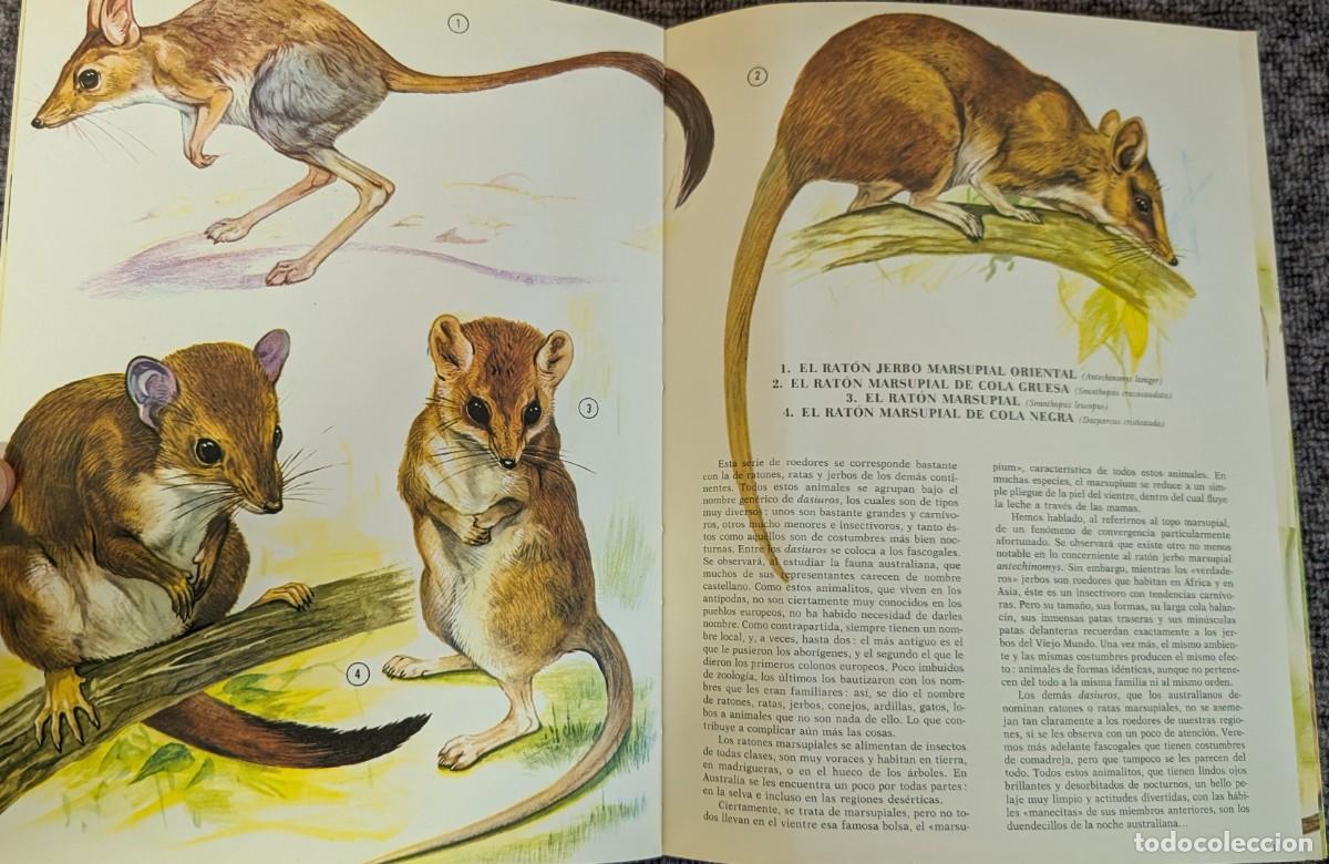 Libros de segunda mano: Fauna - Area 5 - 5 tomos - Timun Mas (1975) &iexcl;Colecci&oacute;n completa! - Foto 8