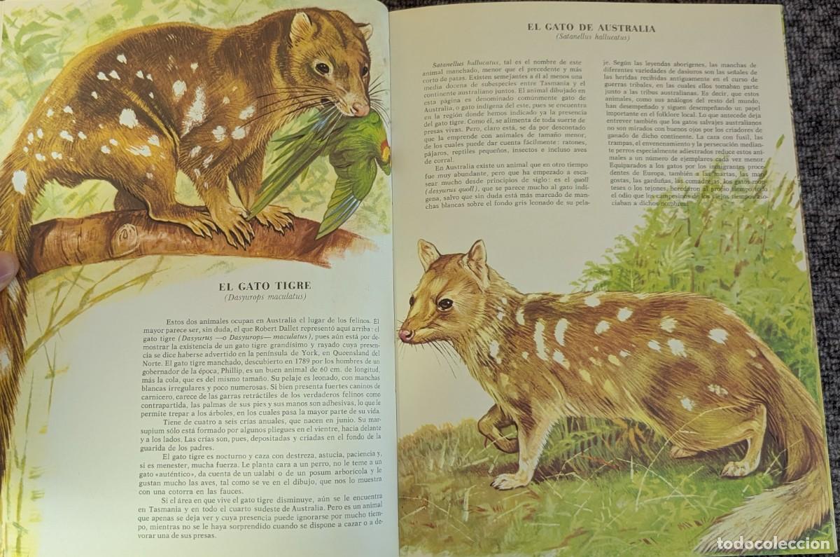 Libros de segunda mano: Fauna - Area 5 - 5 tomos - Timun Mas (1975) &iexcl;Colecci&oacute;n completa! - Foto 9
