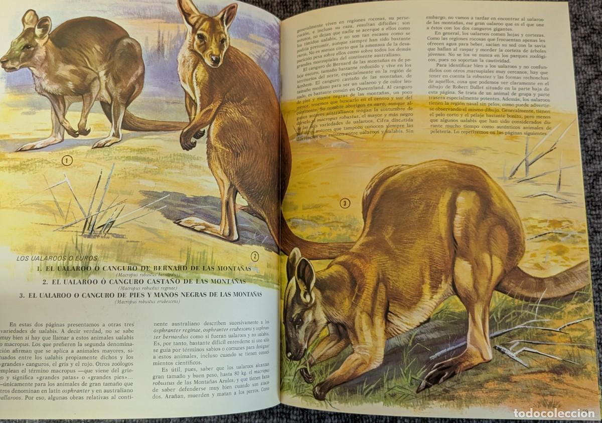 Libros de segunda mano: Fauna - Area 5 - 5 tomos - Timun Mas (1975) &iexcl;Colecci&oacute;n completa! - Foto 10