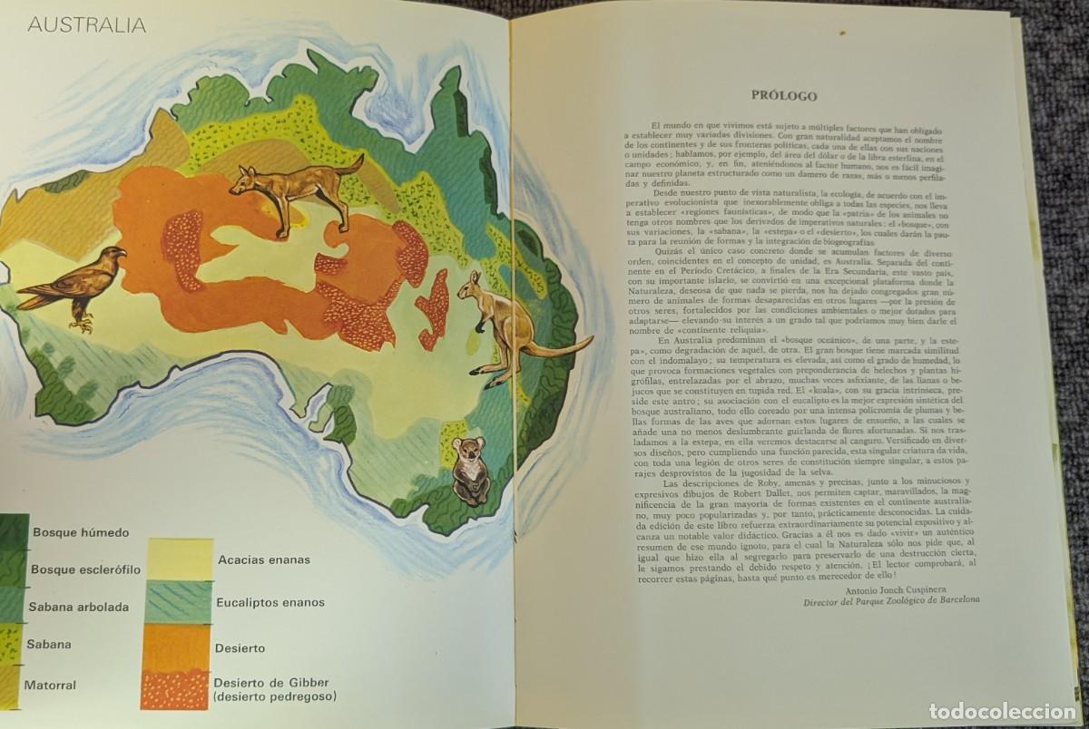 Libros de segunda mano: Fauna - Area 5 - 5 tomos - Timun Mas (1975) &iexcl;Colecci&oacute;n completa! - Foto 11