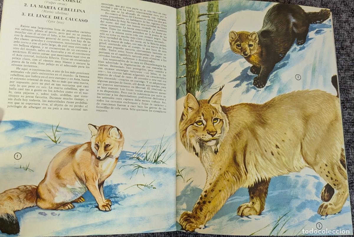 Libros de segunda mano: Fauna - Area 5 - 5 tomos - Timun Mas (1975) &iexcl;Colecci&oacute;n completa! - Foto 13