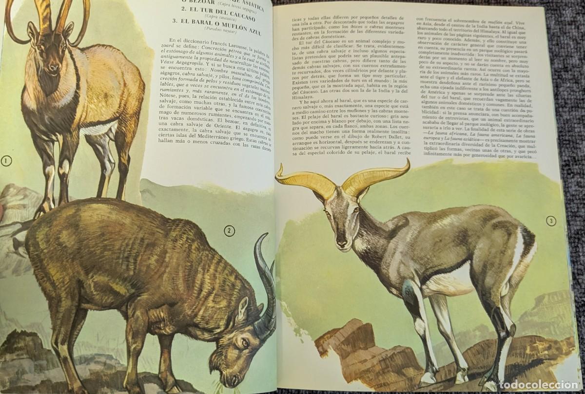 Libros de segunda mano: Fauna - Area 5 - 5 tomos - Timun Mas (1975) &iexcl;Colecci&oacute;n completa! - Foto 14