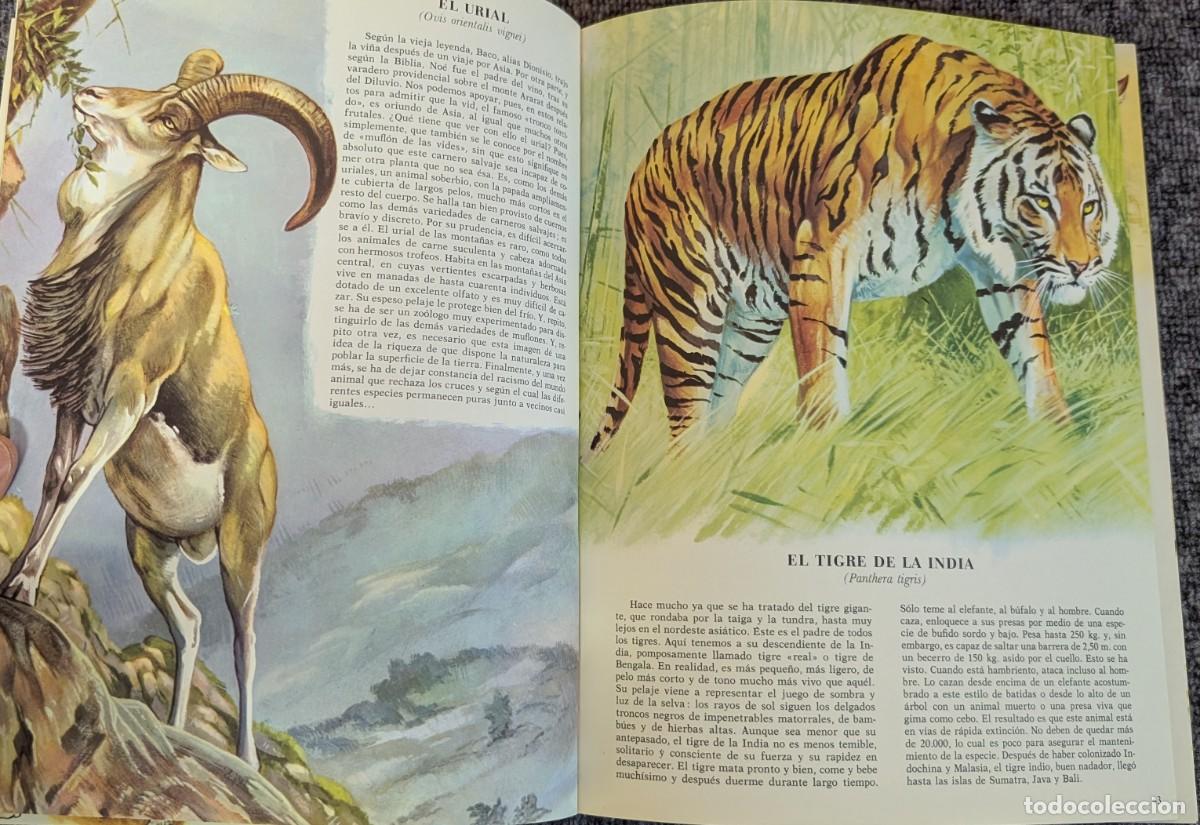 Libros de segunda mano: Fauna - Area 5 - 5 tomos - Timun Mas (1975) &iexcl;Colecci&oacute;n completa! - Foto 15