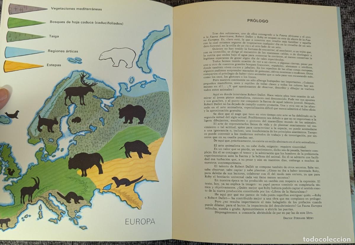 Libros de segunda mano: Fauna - Area 5 - 5 tomos - Timun Mas (1975) &iexcl;Colecci&oacute;n completa! - Foto 16