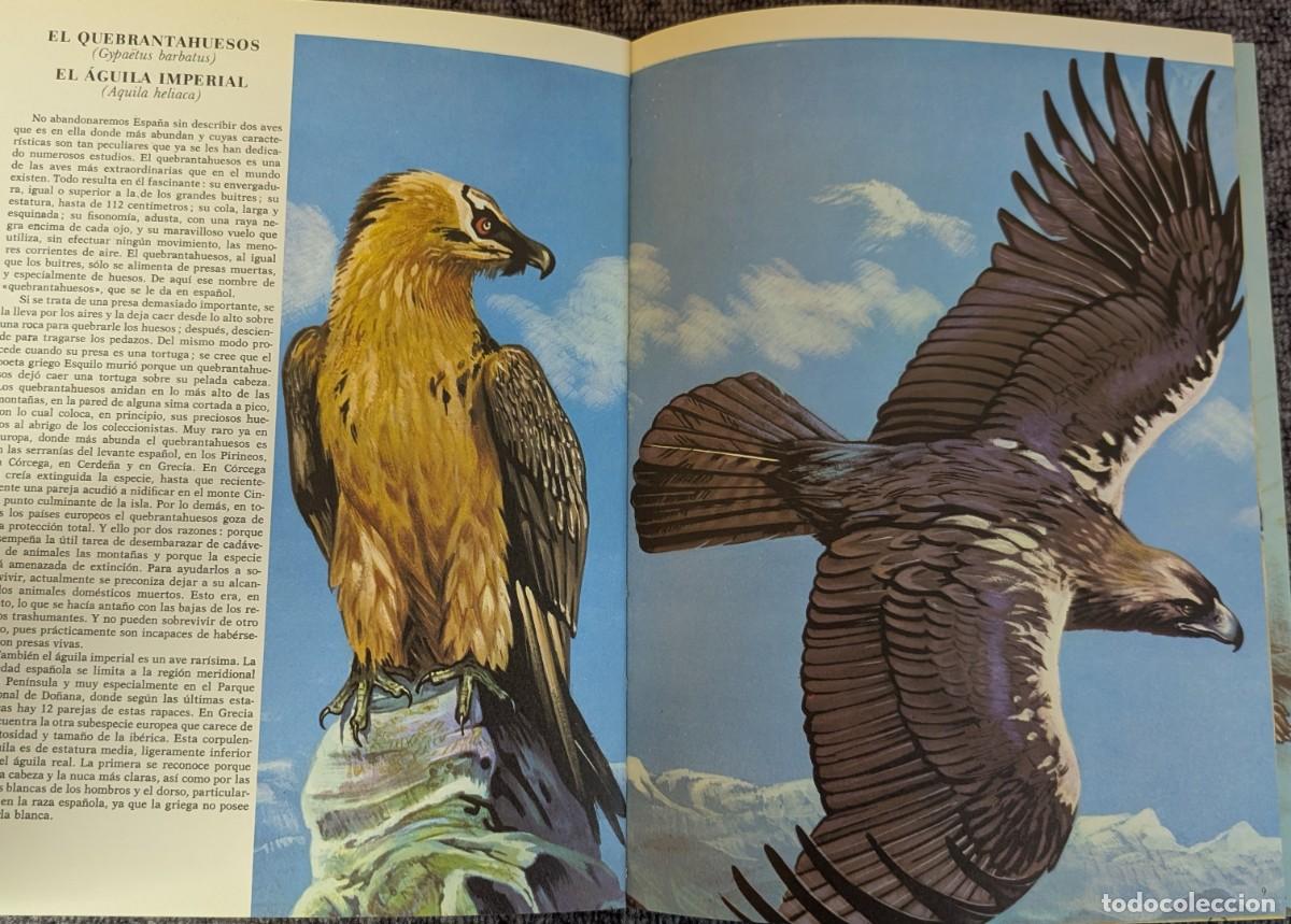 Libros de segunda mano: Fauna - Area 5 - 5 tomos - Timun Mas (1975) &iexcl;Colecci&oacute;n completa! - Foto 17