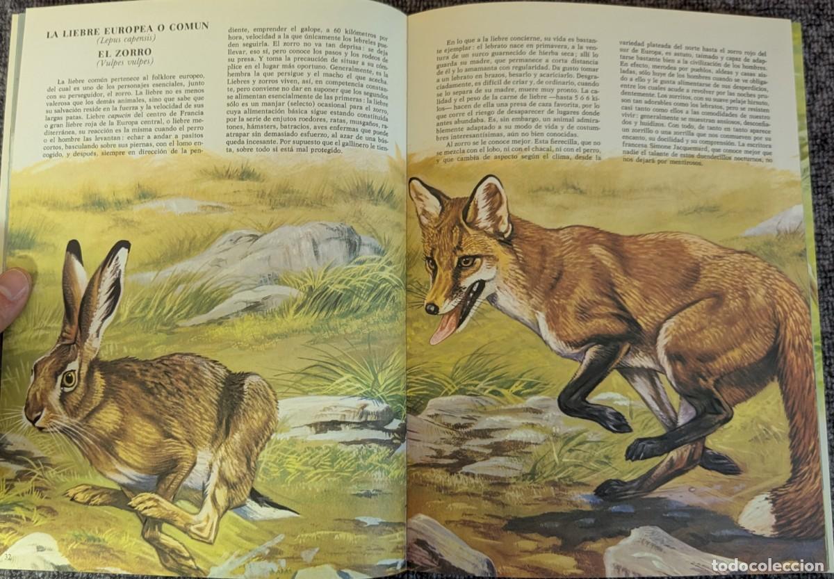 Libros de segunda mano: Fauna - Area 5 - 5 tomos - Timun Mas (1975) &iexcl;Colecci&oacute;n completa! - Foto 19