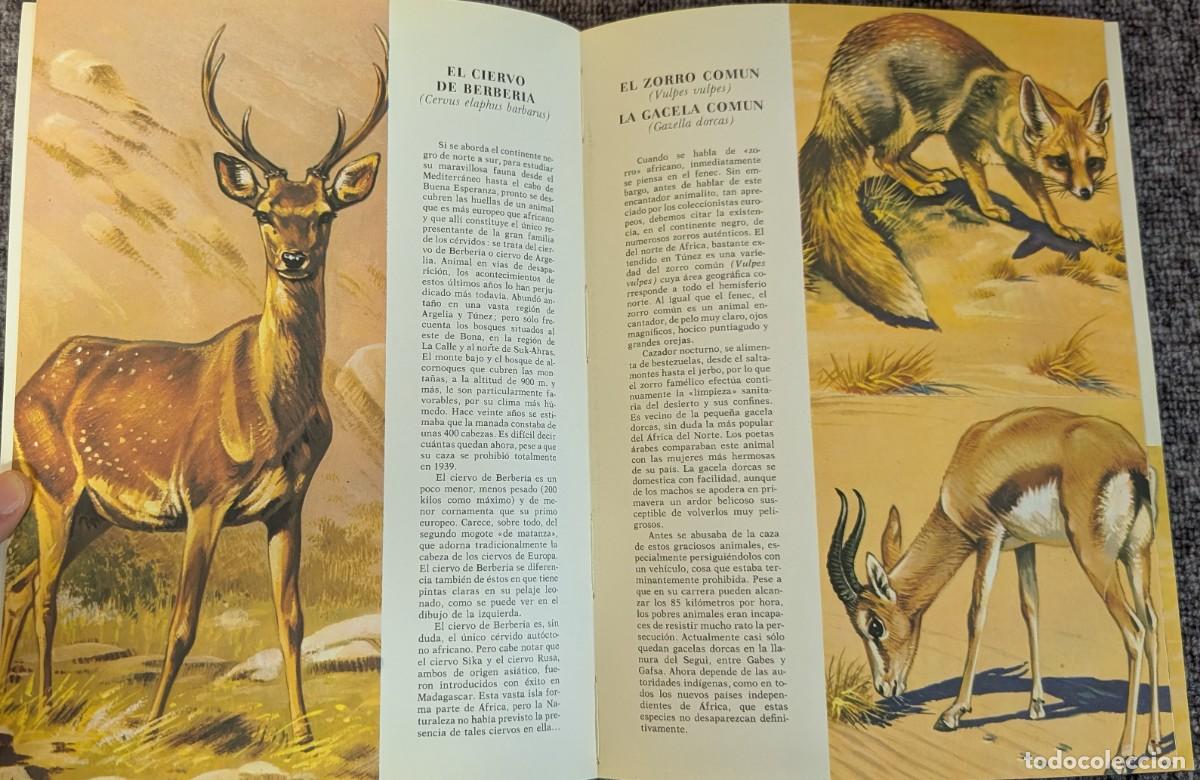 Libros de segunda mano: Fauna - Area 5 - 5 tomos - Timun Mas (1975) &iexcl;Colecci&oacute;n completa! - Foto 21