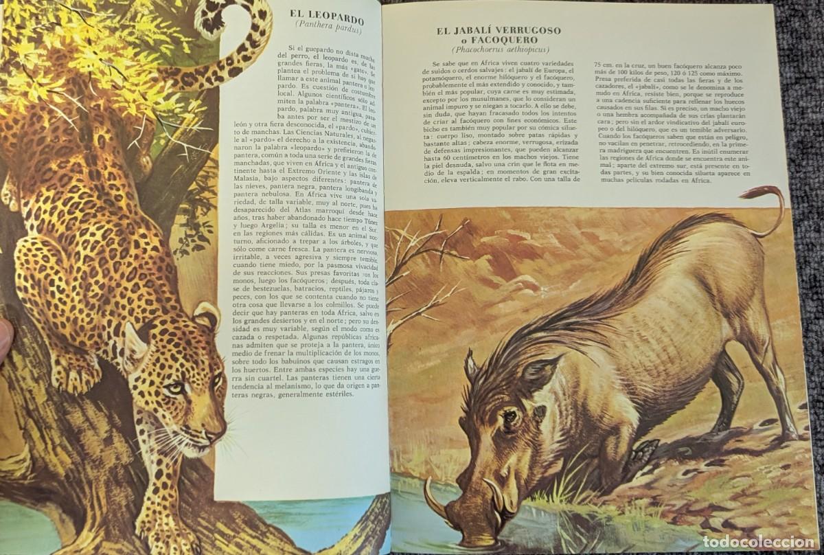Libros de segunda mano: Fauna - Area 5 - 5 tomos - Timun Mas (1975) &iexcl;Colecci&oacute;n completa! - Foto 22