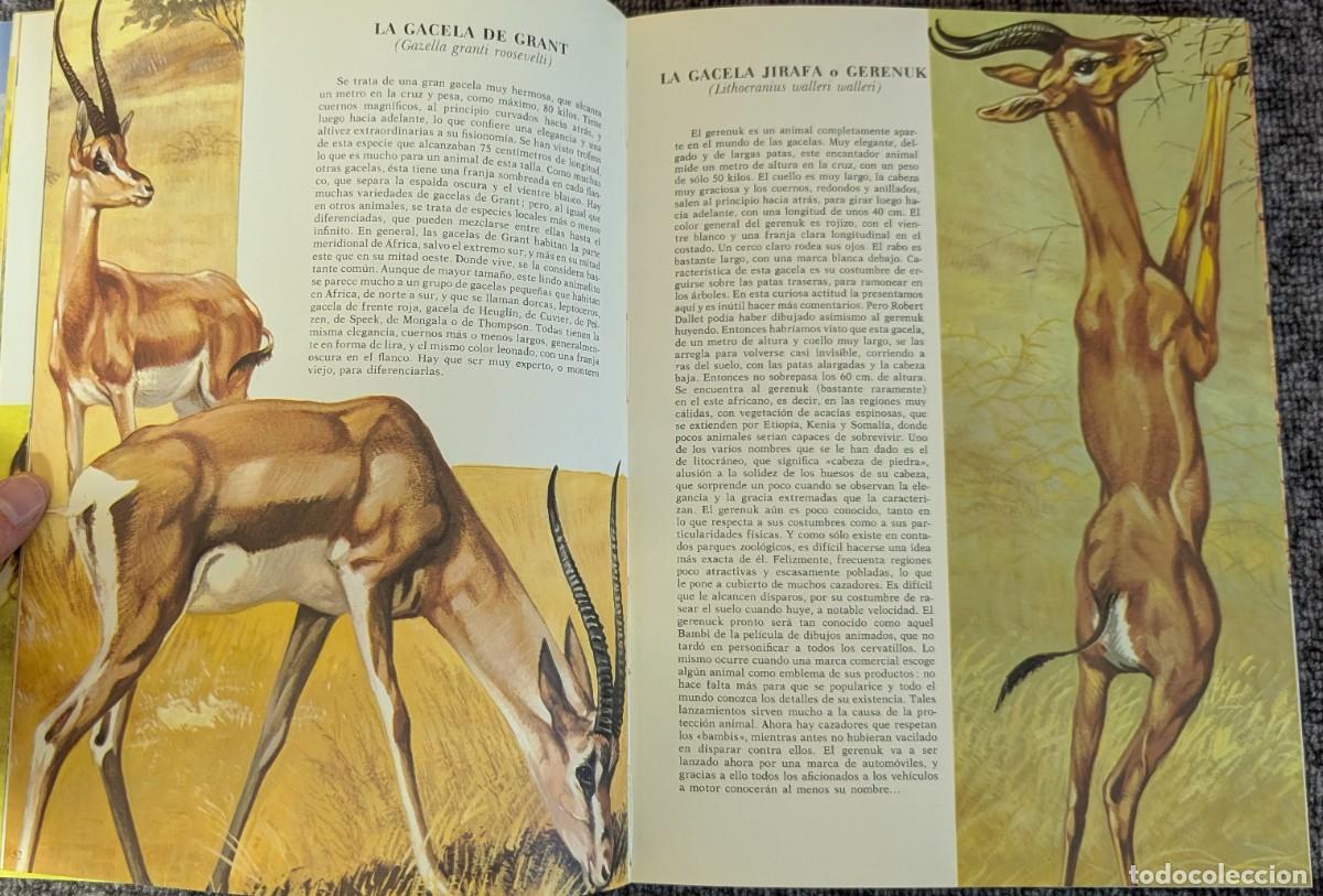 Libros de segunda mano: Fauna - Area 5 - 5 tomos - Timun Mas (1975) &iexcl;Colecci&oacute;n completa! - Foto 23