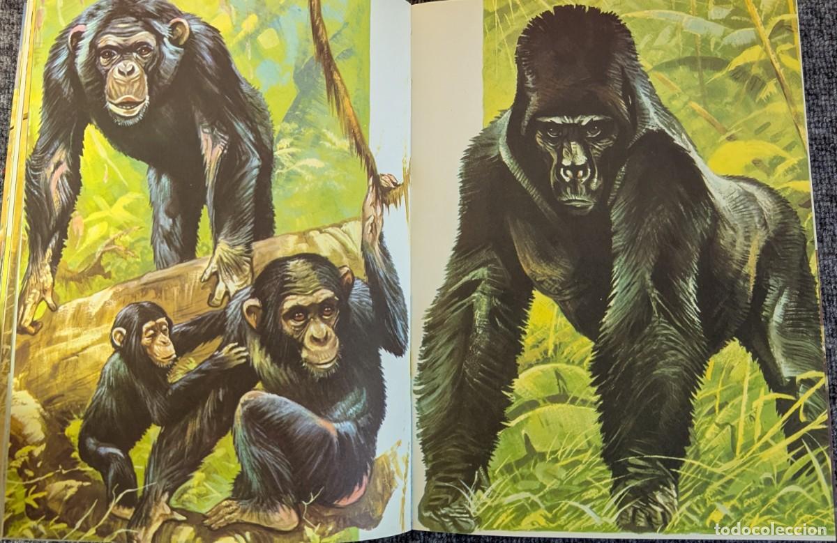 Libros de segunda mano: Fauna - Area 5 - 5 tomos - Timun Mas (1975) &iexcl;Colecci&oacute;n completa! - Foto 24
