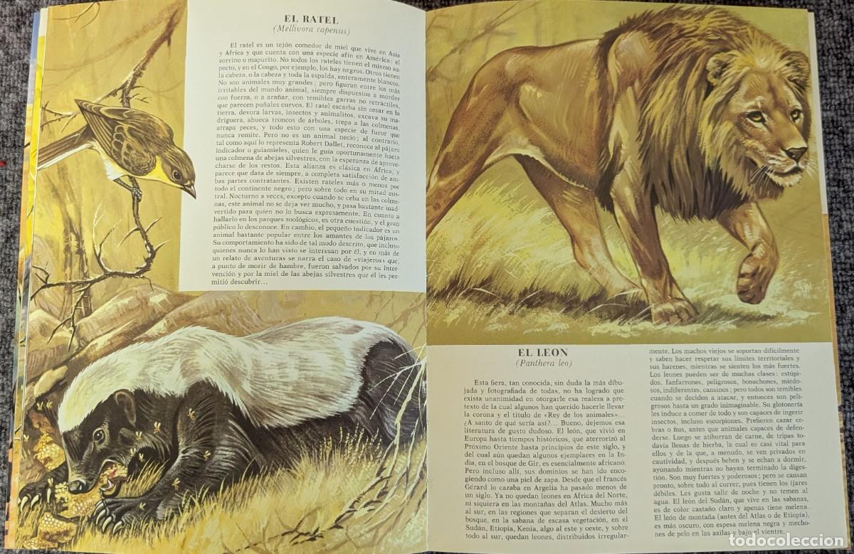 Libros de segunda mano: Fauna - Area 5 - 5 tomos - Timun Mas (1975) &iexcl;Colecci&oacute;n completa! - Foto 25