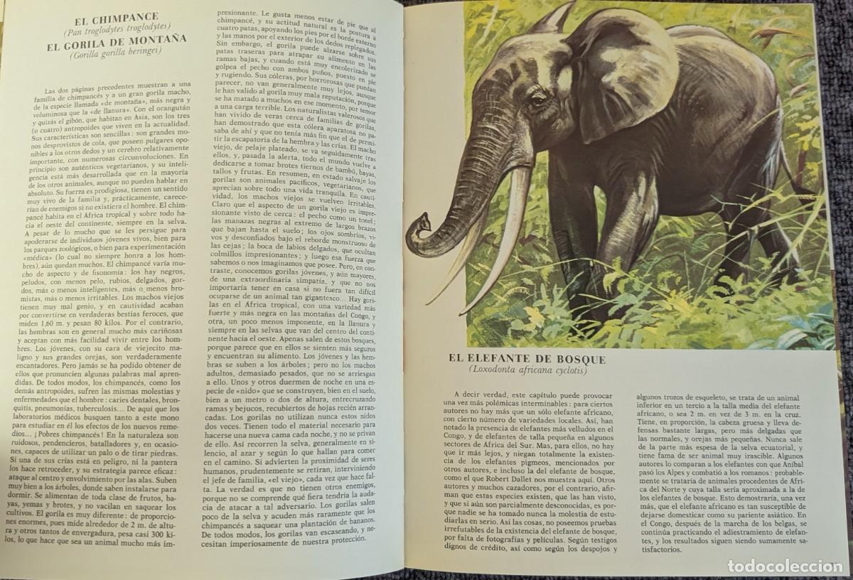 Libros de segunda mano: Fauna - Area 5 - 5 tomos - Timun Mas (1975) &iexcl;Colecci&oacute;n completa! - Foto 26