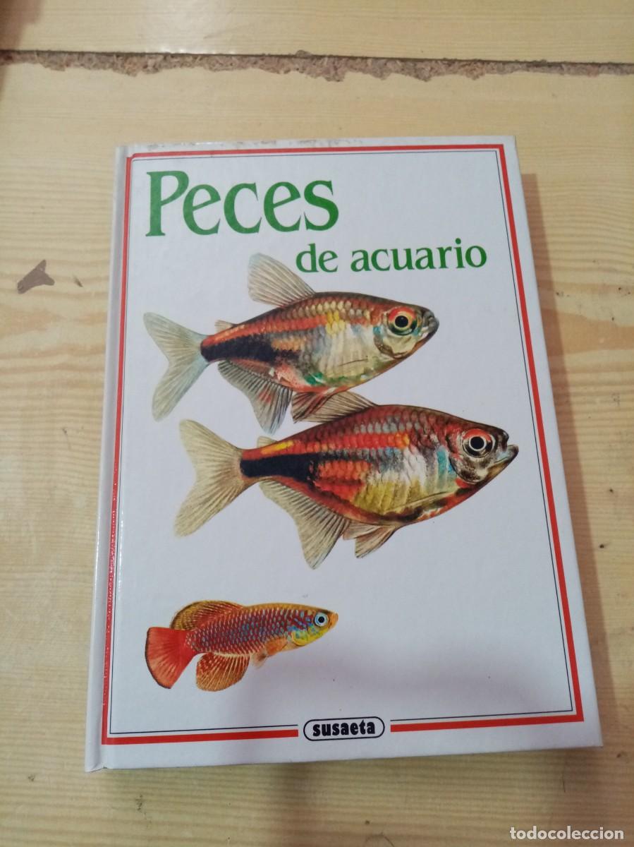 Libros de segunda mano: PECES DE ACUARIO. SUSAETA. C25L - Foto 1