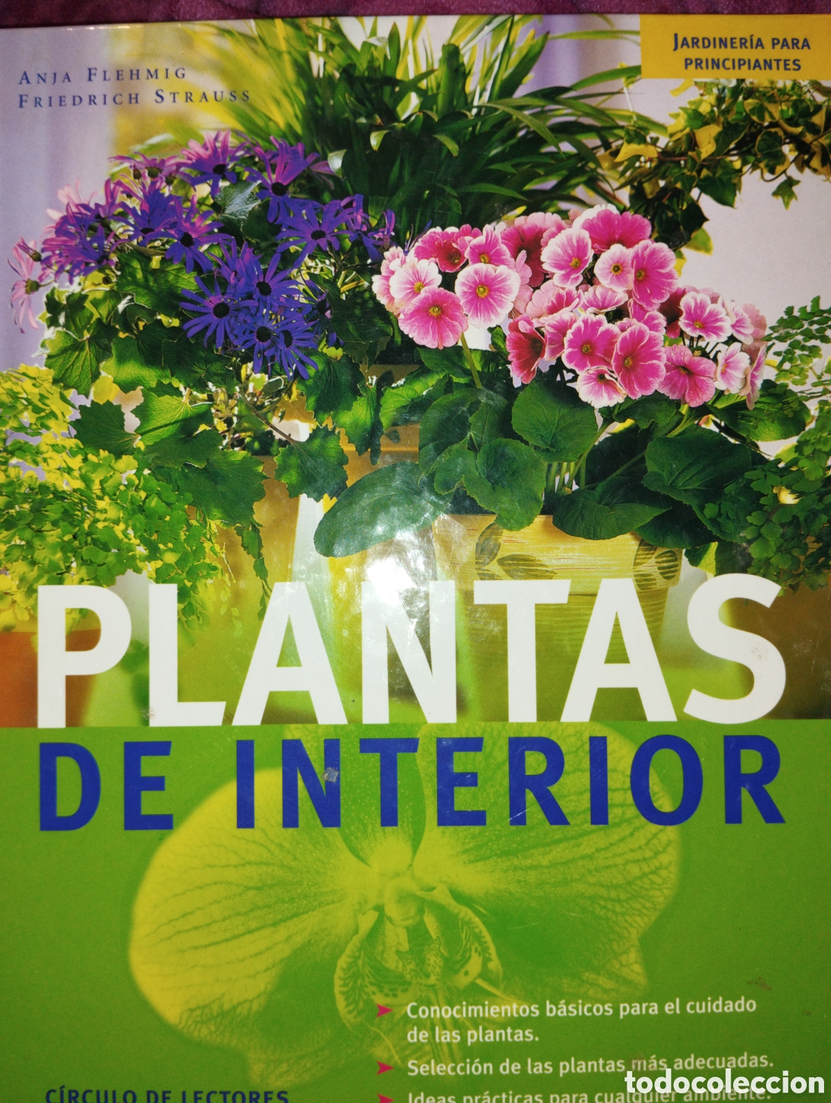 Gebrauchte B&uuml;cher: PLANTAS DE INTERIOR DE ANJA FLEHMIG Y FRIEDRICH STRAUSS. DE C&Iacute;RCULO DE LECTORES. CARTON&Eacute;. P&Aacute;GINAS 15