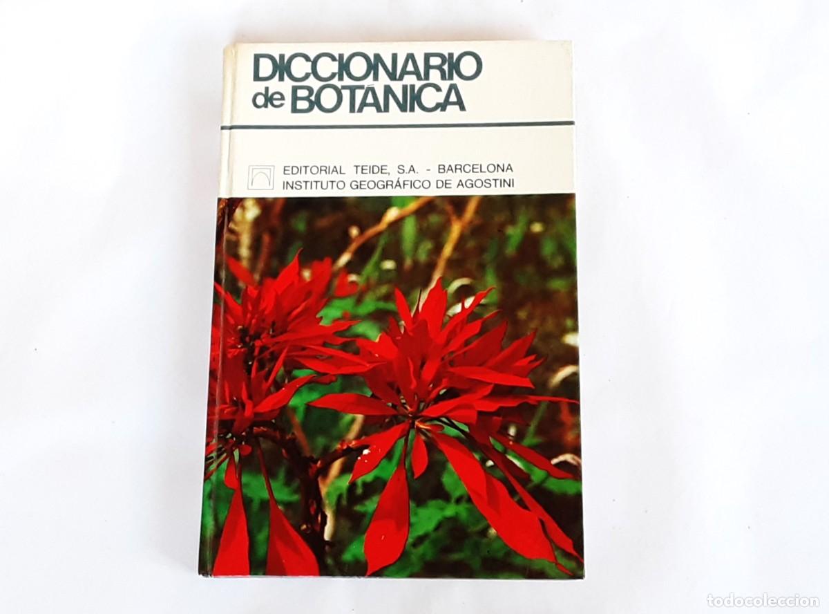 Libros de segunda mano: DICCIONARIO DE BOTANICA EDITORIAL TEIDE A&Ntilde;O 1973 - Foto 1
