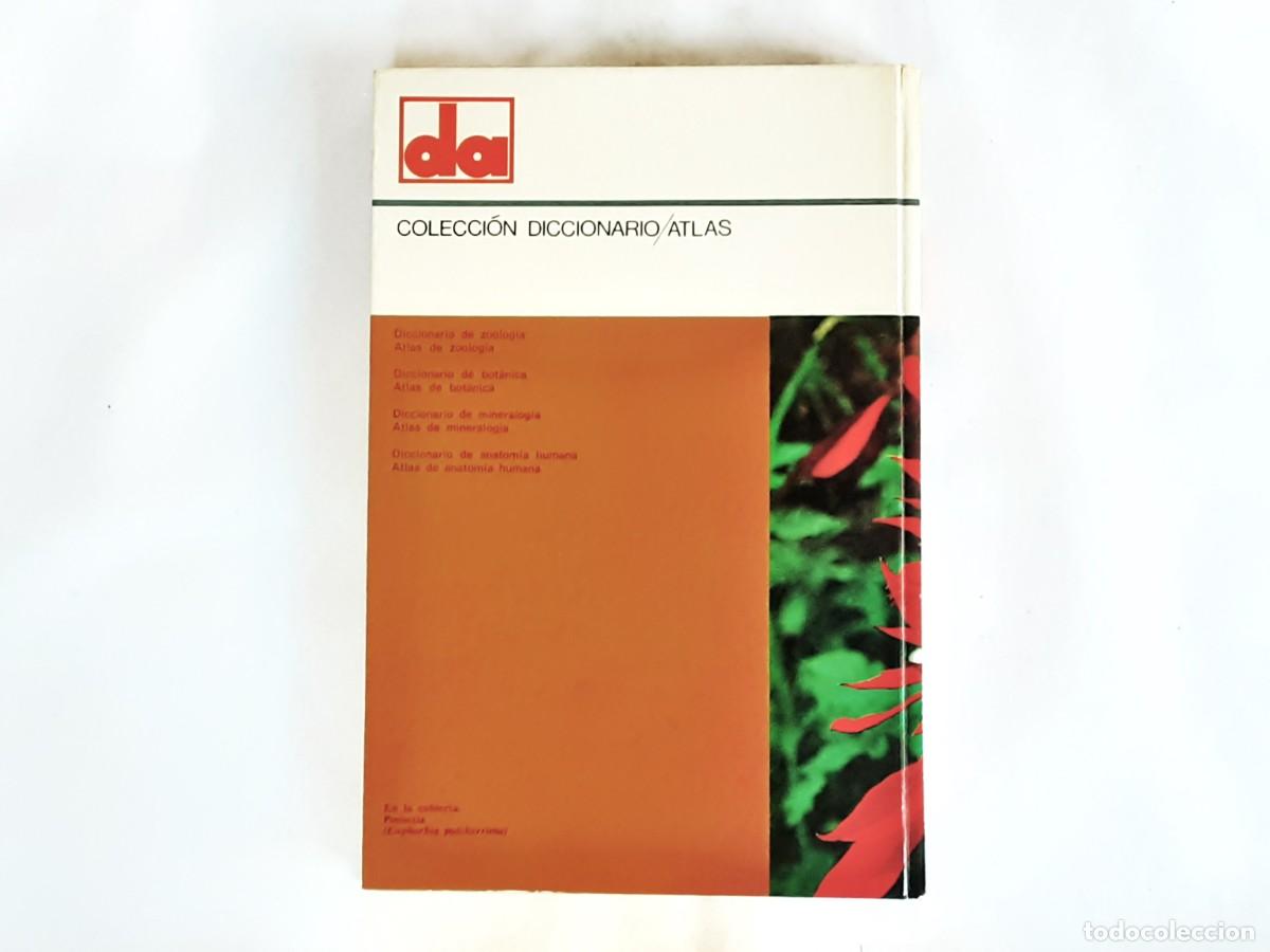 Libros de segunda mano: DICCIONARIO DE BOTANICA EDITORIAL TEIDE A&Ntilde;O 1973 - Foto 2
