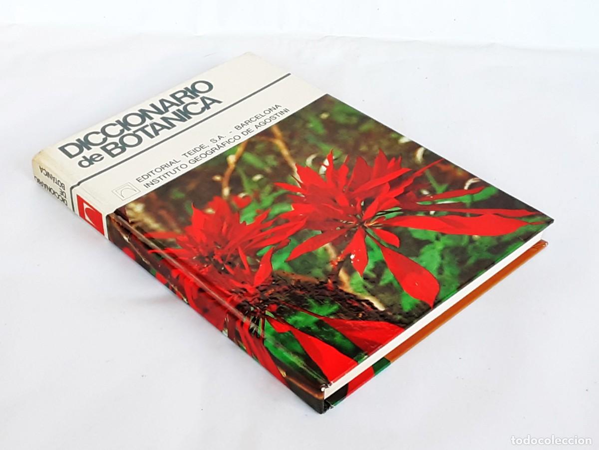 Libros de segunda mano: DICCIONARIO DE BOTANICA EDITORIAL TEIDE A&Ntilde;O 1973 - Foto 3
