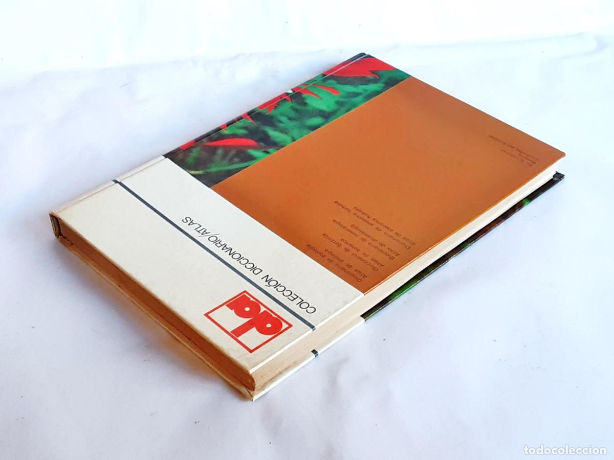 Libros de segunda mano: DICCIONARIO DE BOTANICA EDITORIAL TEIDE A&Ntilde;O 1973 - Foto 4