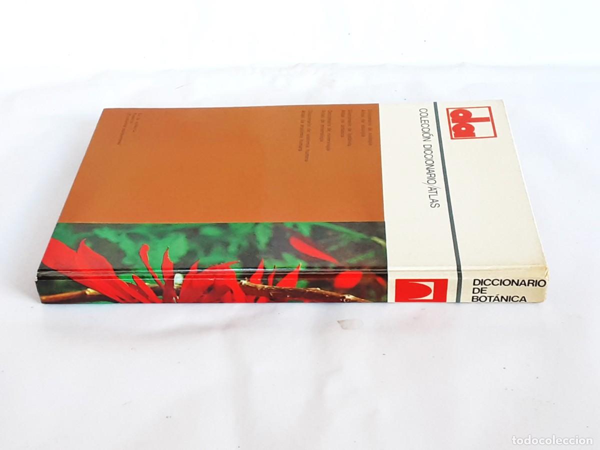 Libros de segunda mano: DICCIONARIO DE BOTANICA EDITORIAL TEIDE A&Ntilde;O 1973 - Foto 5