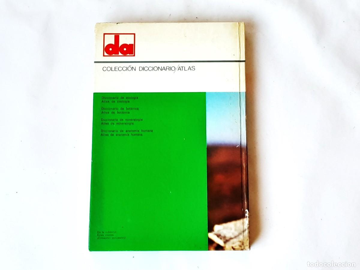 Libros de segunda mano: DICCIONARIO DE ZOOLOGIA EDITORIAL TEIDE A&Ntilde;O 1973 - Foto 2