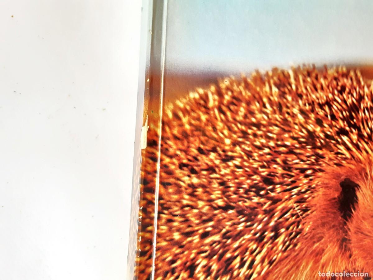 Libros de segunda mano: DICCIONARIO DE ZOOLOGIA EDITORIAL TEIDE A&Ntilde;O 1973 - Foto 5