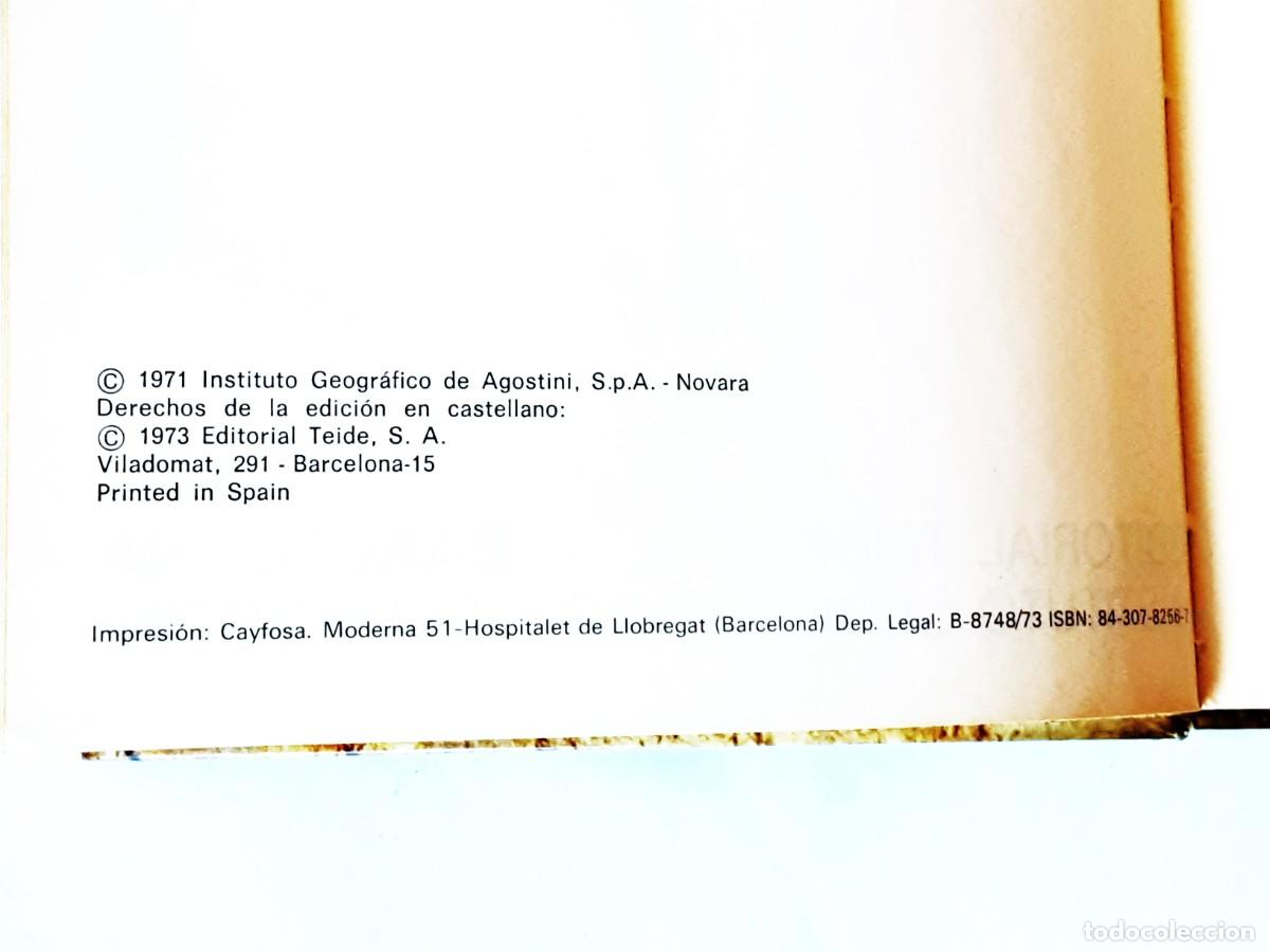 Libros de segunda mano: DICCIONARIO DE ZOOLOGIA EDITORIAL TEIDE A&Ntilde;O 1973 - Foto 6