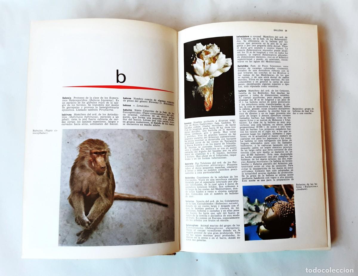 Libros de segunda mano: DICCIONARIO DE ZOOLOGIA EDITORIAL TEIDE A&Ntilde;O 1973 - Foto 8