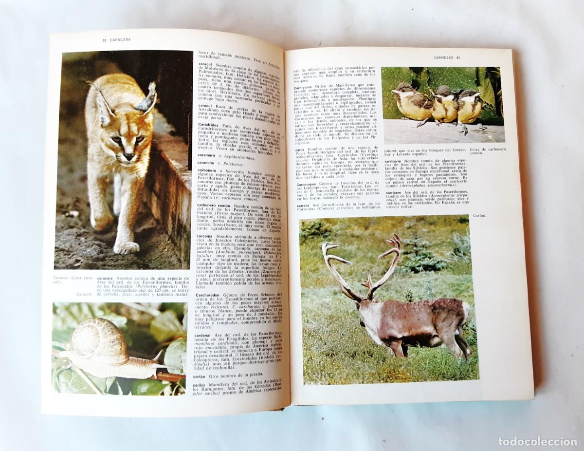 Libros de segunda mano: DICCIONARIO DE ZOOLOGIA EDITORIAL TEIDE A&Ntilde;O 1973 - Foto 10