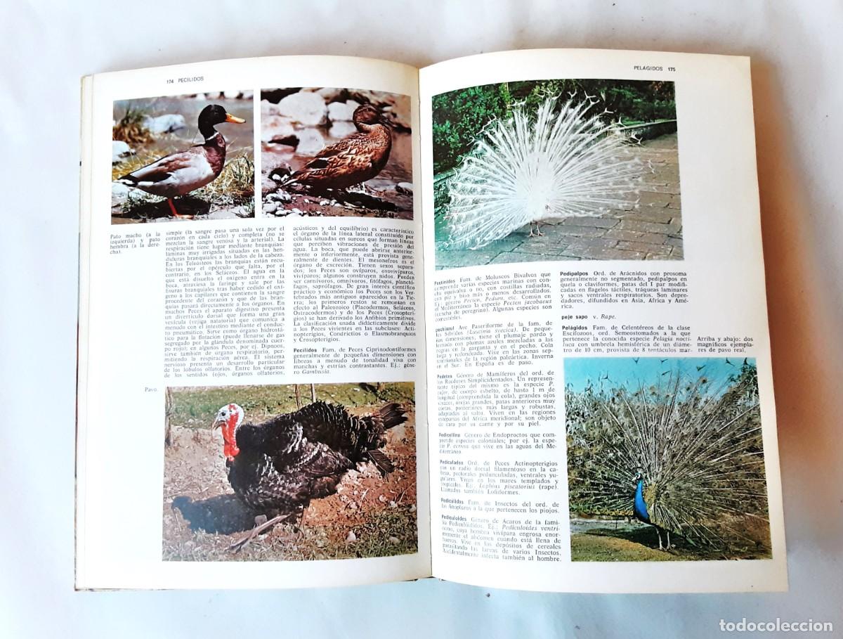 Libros de segunda mano: DICCIONARIO DE ZOOLOGIA EDITORIAL TEIDE A&Ntilde;O 1973 - Foto 12