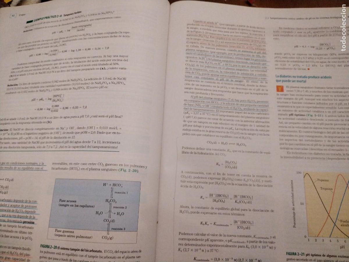 Libros de segunda mano de ciencias: Principios de bioqu&iacute;mica -Lehninger -david l. Nelson - Michael m. Cox - Foto 5