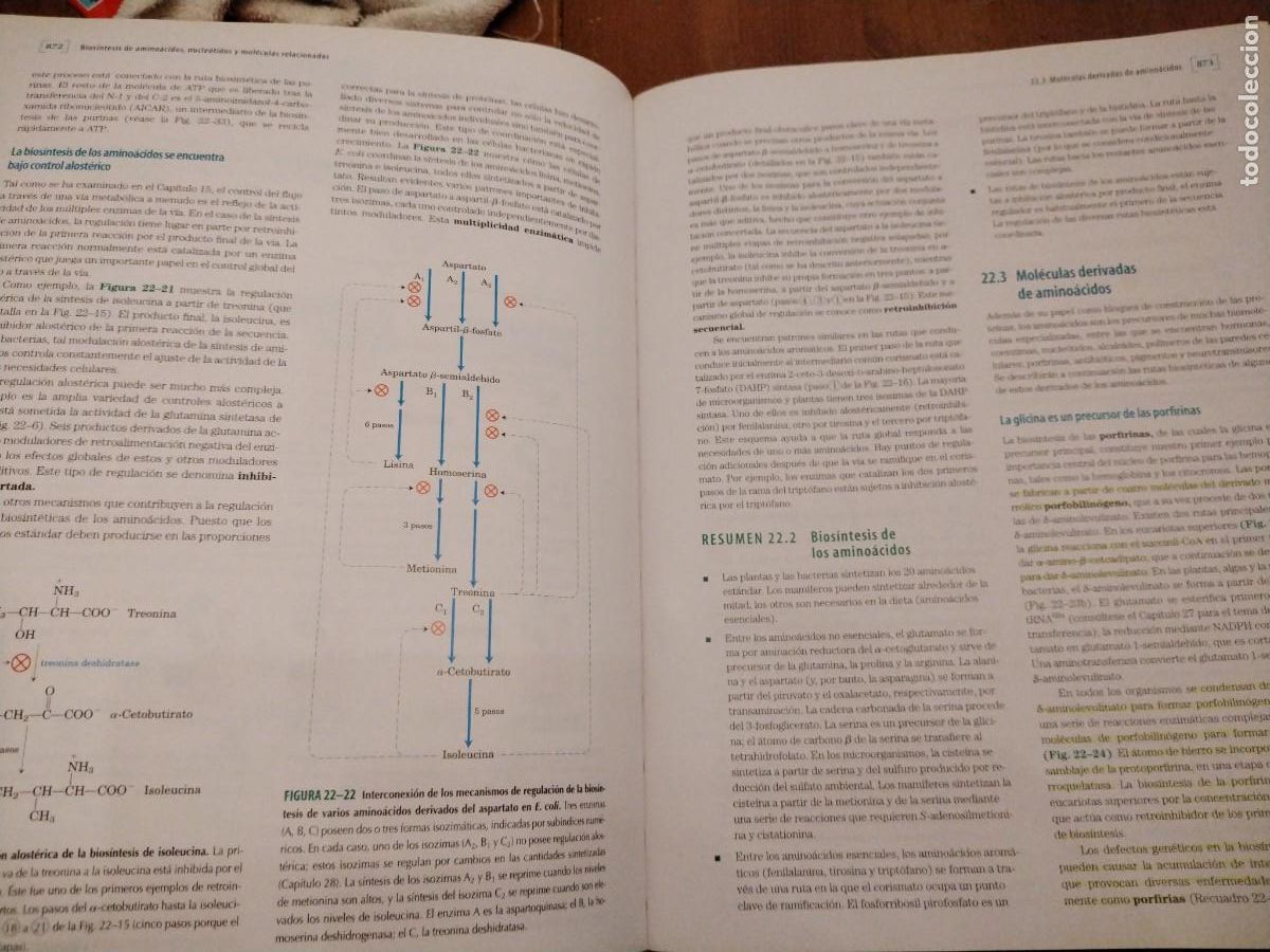 Libros de segunda mano de ciencias: Principios de bioqu&iacute;mica -Lehninger -david l. Nelson - Michael m. Cox - Foto 7