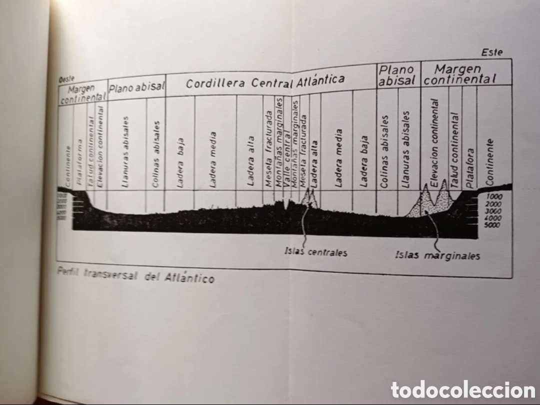Libros de segunda mano: La situaci&oacute;n de Canarias en la tect&oacute;nica Atl&aacute;ntica - Foto 3