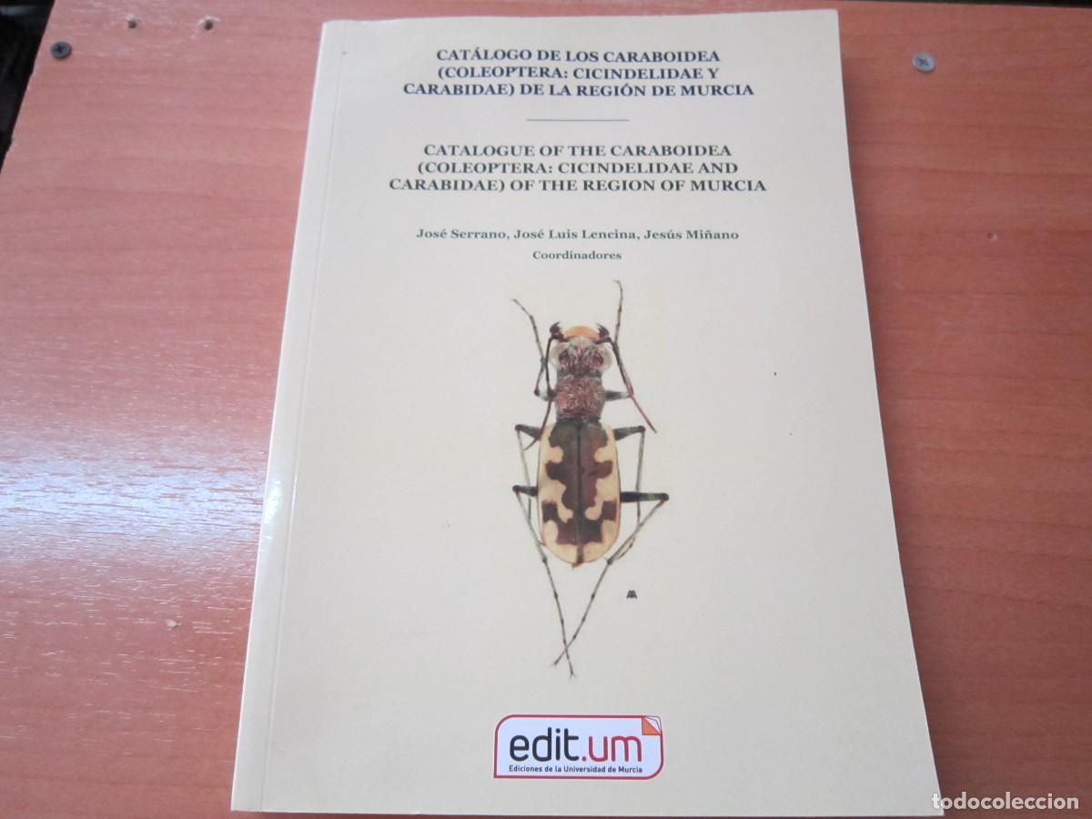 Libros de segunda mano: Cat&aacute;logo de los Caraboidea de la regi&oacute;n de Murcia, de Jos&eacute; Serrano - Foto 1
