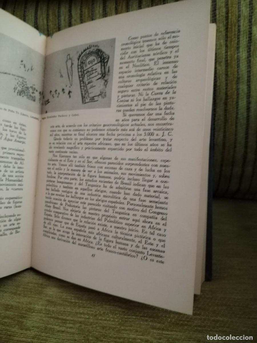 Libros de segunda mano: El arte rupestre espa&ntilde;ol - Foto 12