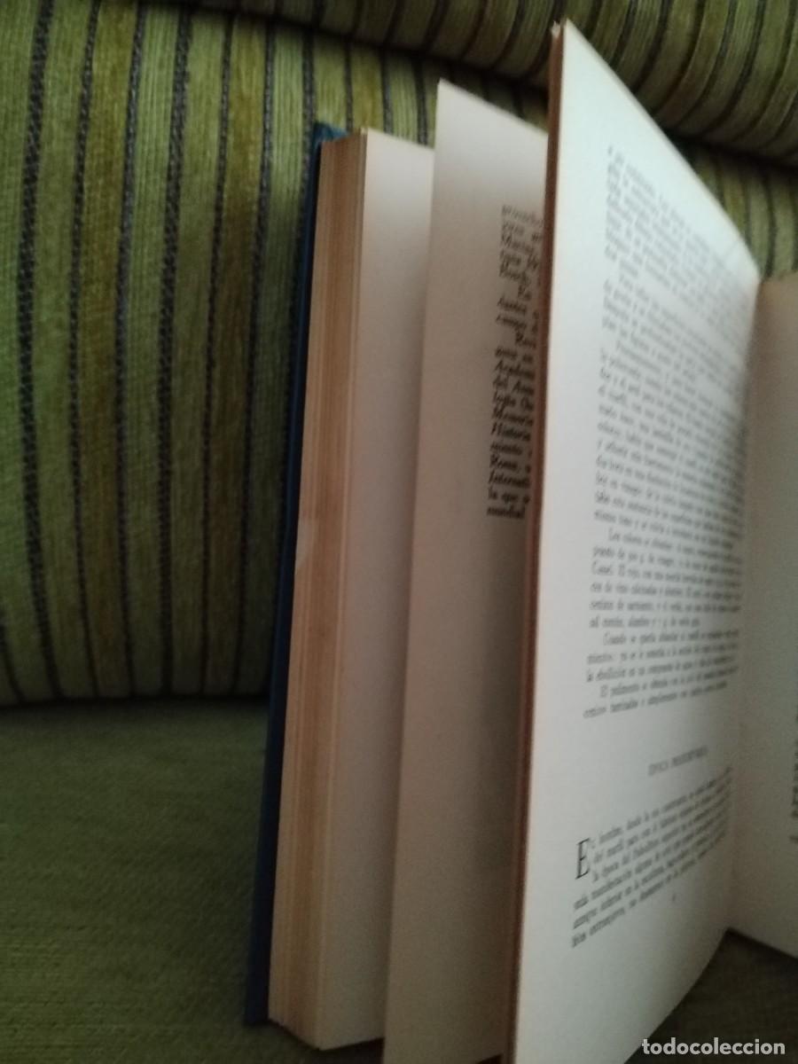 Libros de segunda mano: El arte rupestre espa&ntilde;ol - Foto 13