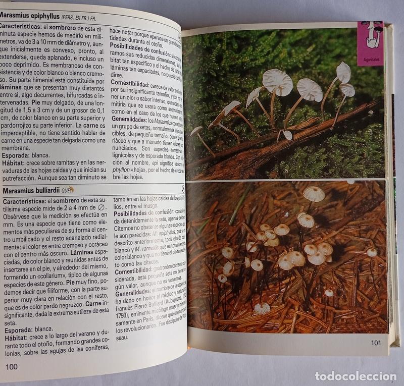 Libros de segunda mano: SETAS - ANSELM MAYORAL, AUGUST ROCABRUNA Y MANUEL TABARES - EDITORIAL BLUME - Foto 3