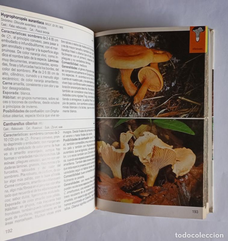 Libros de segunda mano: SETAS - ANSELM MAYORAL, AUGUST ROCABRUNA Y MANUEL TABARES - EDITORIAL BLUME - Foto 4