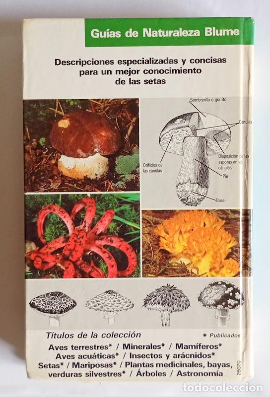 Libros de segunda mano: SETAS - ANSELM MAYORAL, AUGUST ROCABRUNA Y MANUEL TABARES - EDITORIAL BLUME - Foto 5