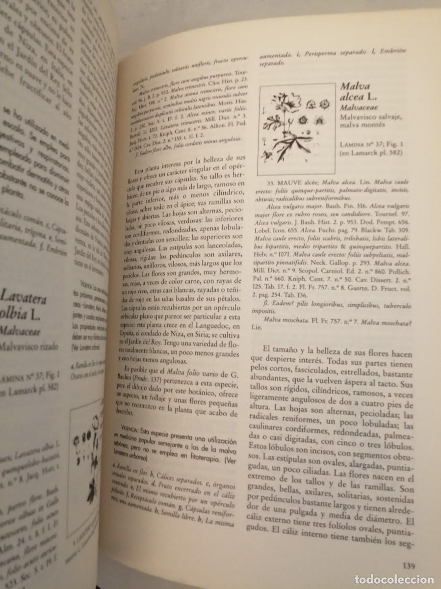 Libros de segunda mano: Lamarck: Plantas Medicinales (SOLO LIBRO) - Foto 4