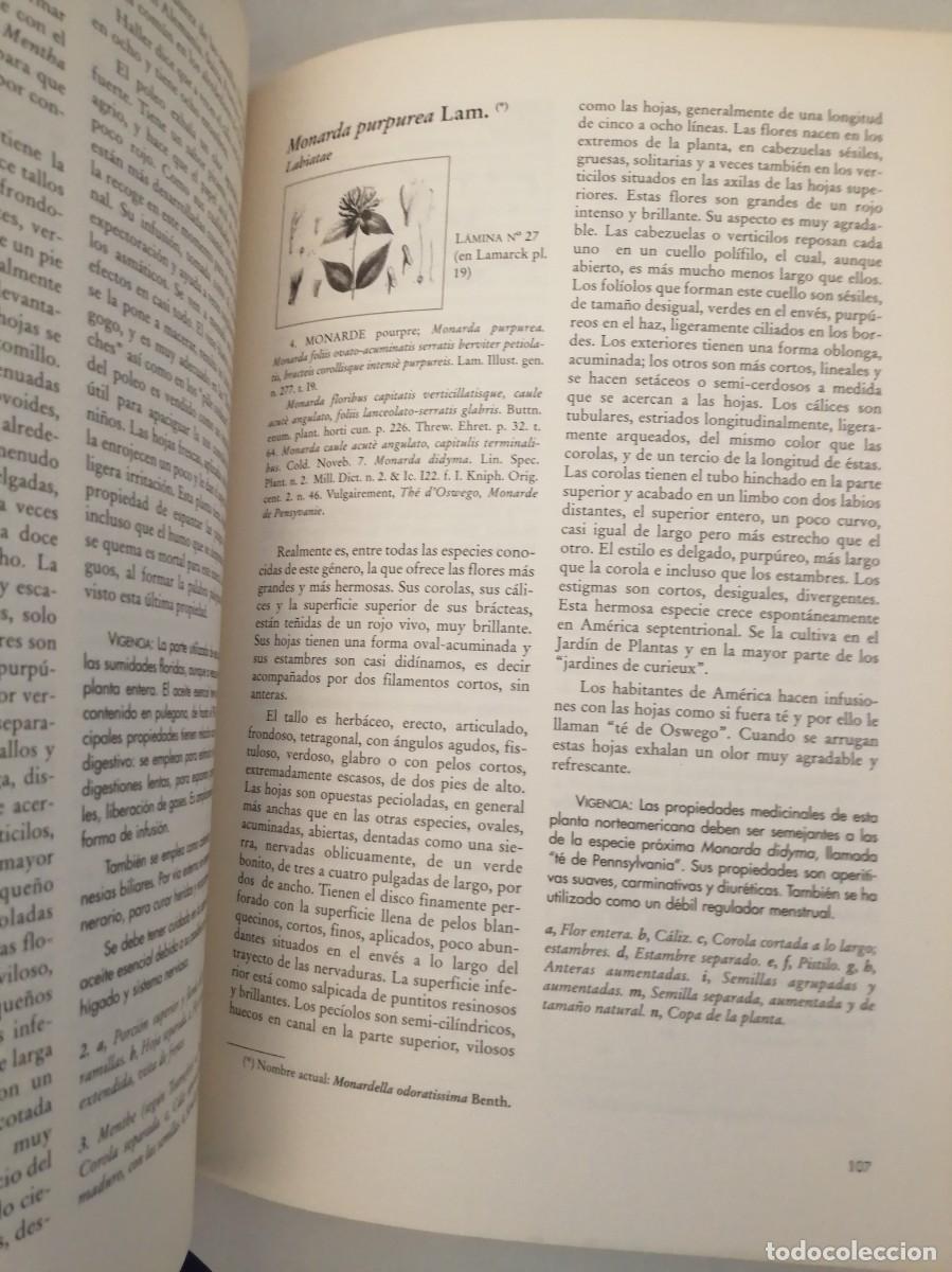 Libros de segunda mano: Lamarck: Plantas Medicinales (SOLO LIBRO) - Foto 5