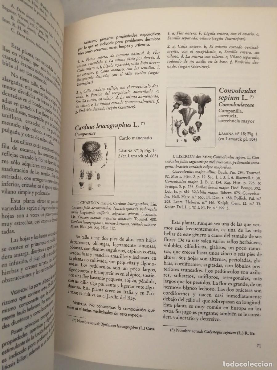 Libros de segunda mano: Lamarck: Plantas Medicinales (SOLO LIBRO) - Foto 6