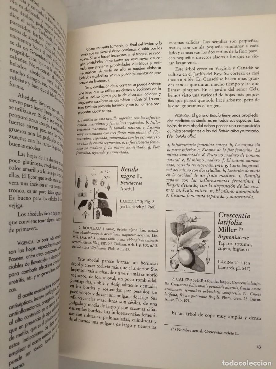 Libros de segunda mano: Lamarck: Plantas Medicinales (SOLO LIBRO) - Foto 7