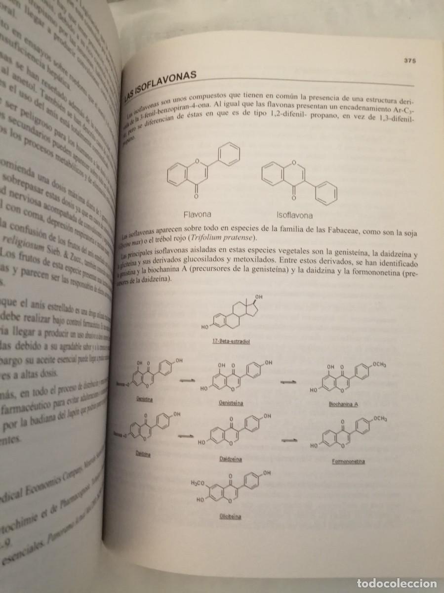 Libros de segunda mano: Cat&aacute;logo de Plantas Medicinales, Colecci&oacute;n: Consejo 2002 - Foto 3
