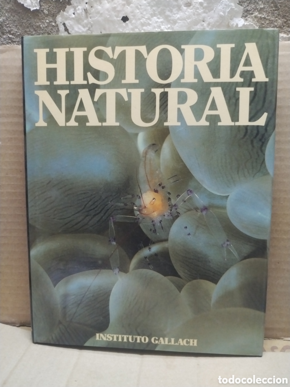 Libros de segunda mano: HISTORIA NATURAL a&ntilde;o 1995 - Foto 1