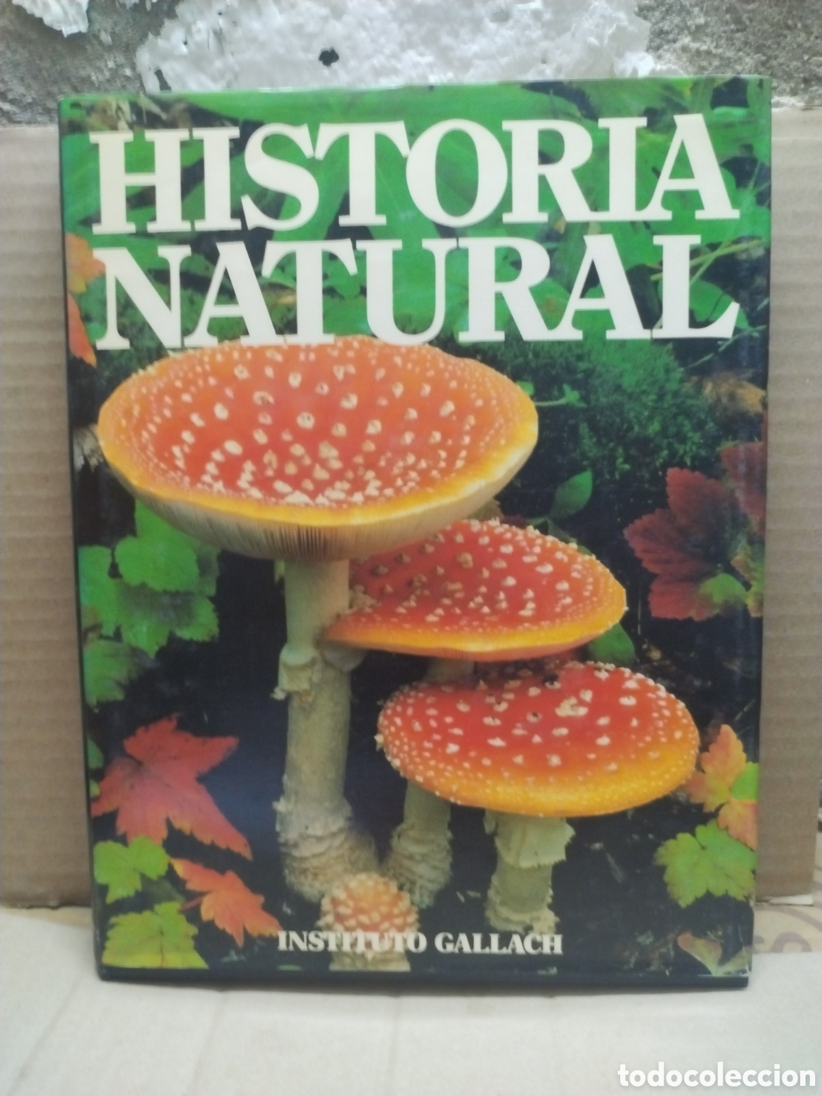 Libros de segunda mano: HISTORIA NATURAL a&ntilde;o 1995 - Foto 1