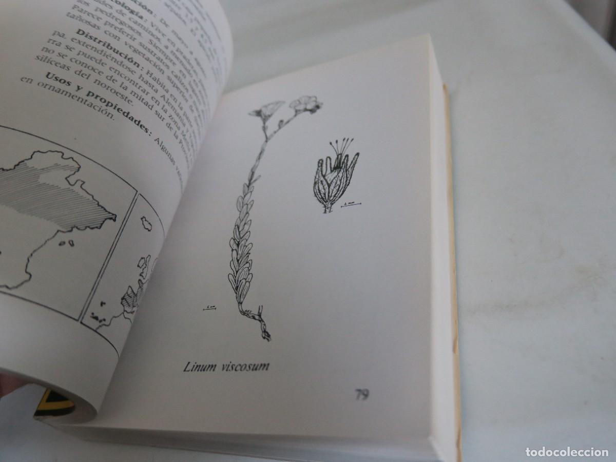 Libros de segunda mano: Flora primaveral - Flora de Navarra - Foto 2