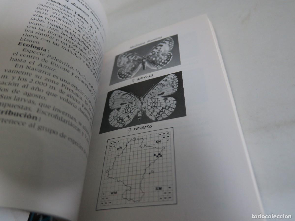 Libros de segunda mano: MARIPOSAS DIURNAS - Fauna de Navarra - Foto 2